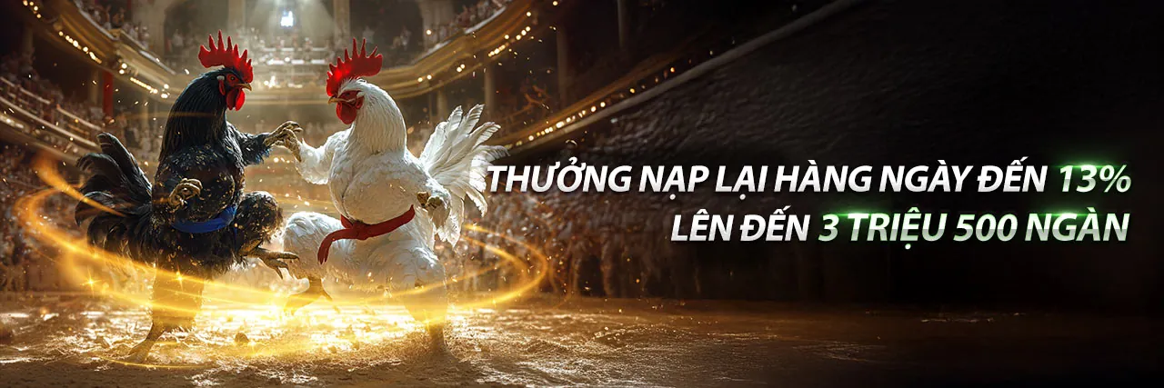 Đá Gà Ngày 10 Tháng 05 - Trận Đấu Kịch Tính